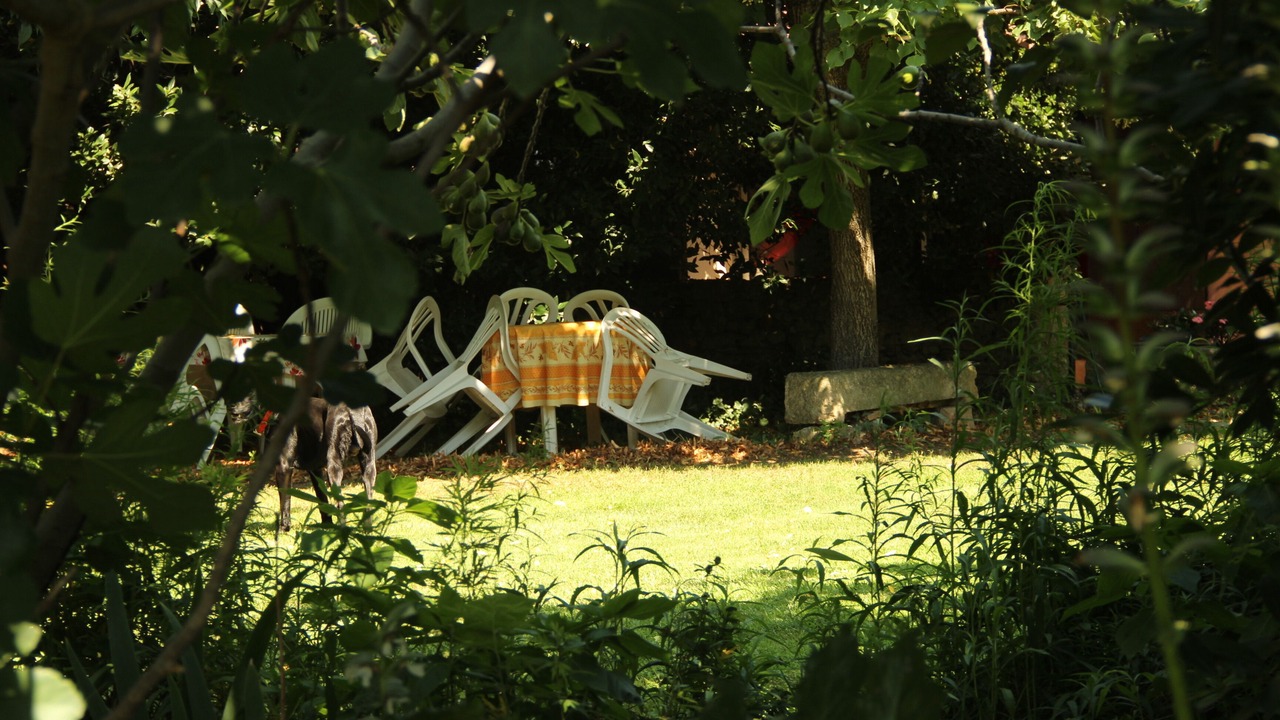 Photo of Outdoor in Pont-Saint-Esprit