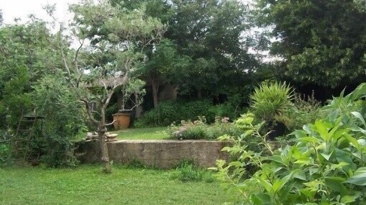 Photo of Outdoor in Pont-Saint-Esprit