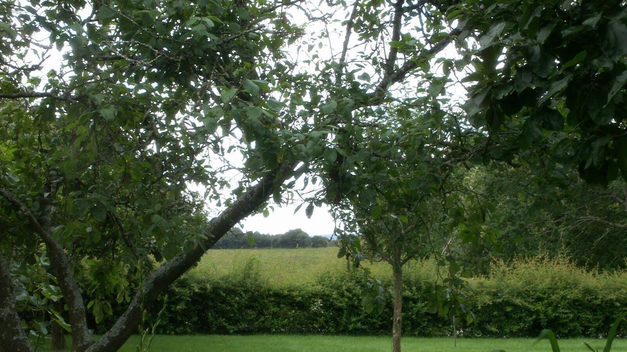 Photo of Outdoor in Bieuzy