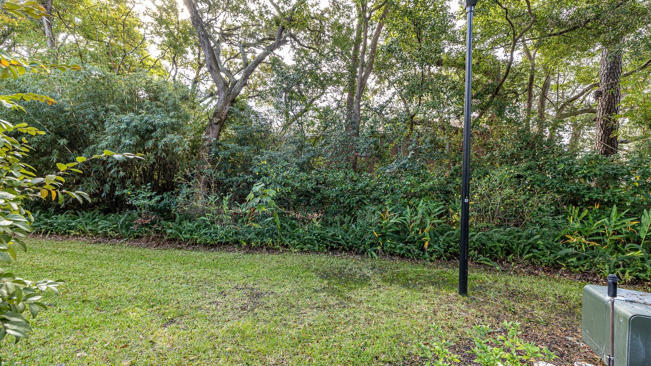 Photo of Others in Demere Park