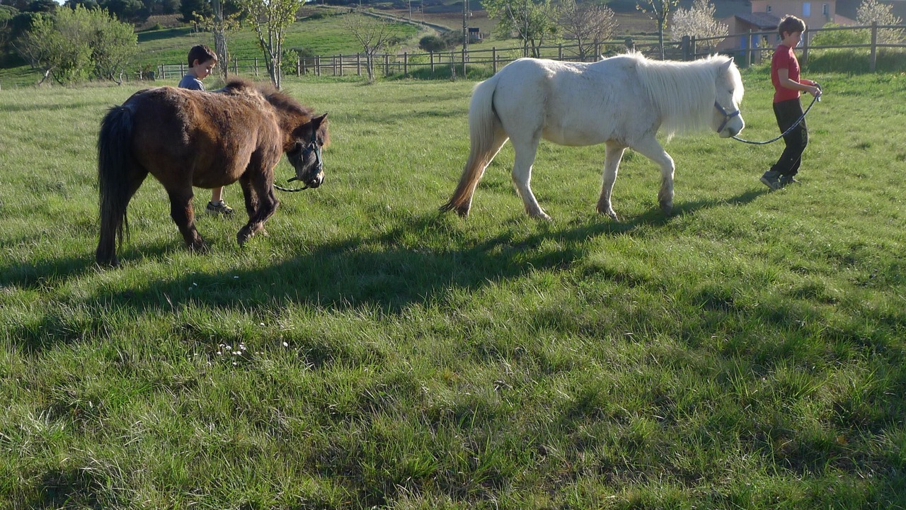 Photo of Outdoor in Verzeille