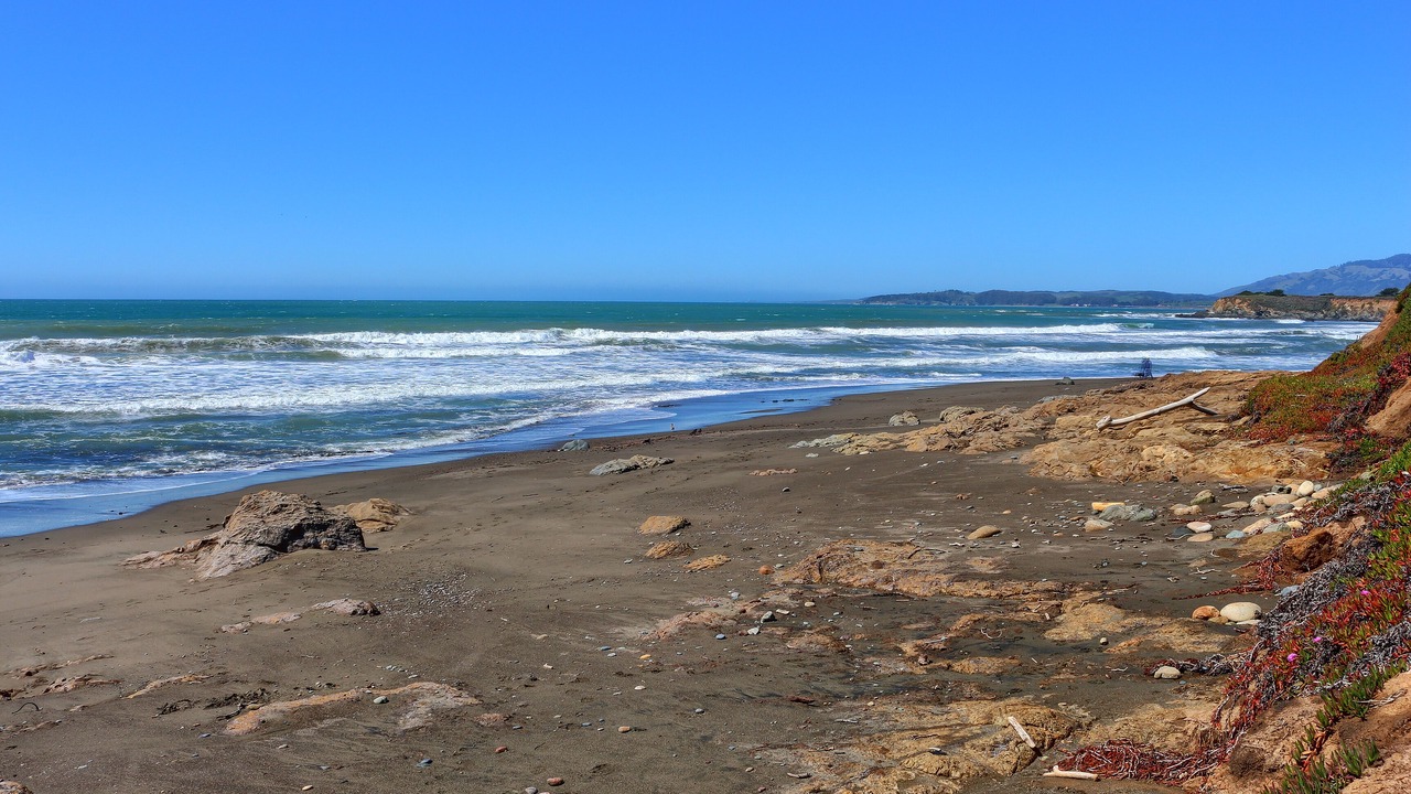 Photo of Others in San Simeon