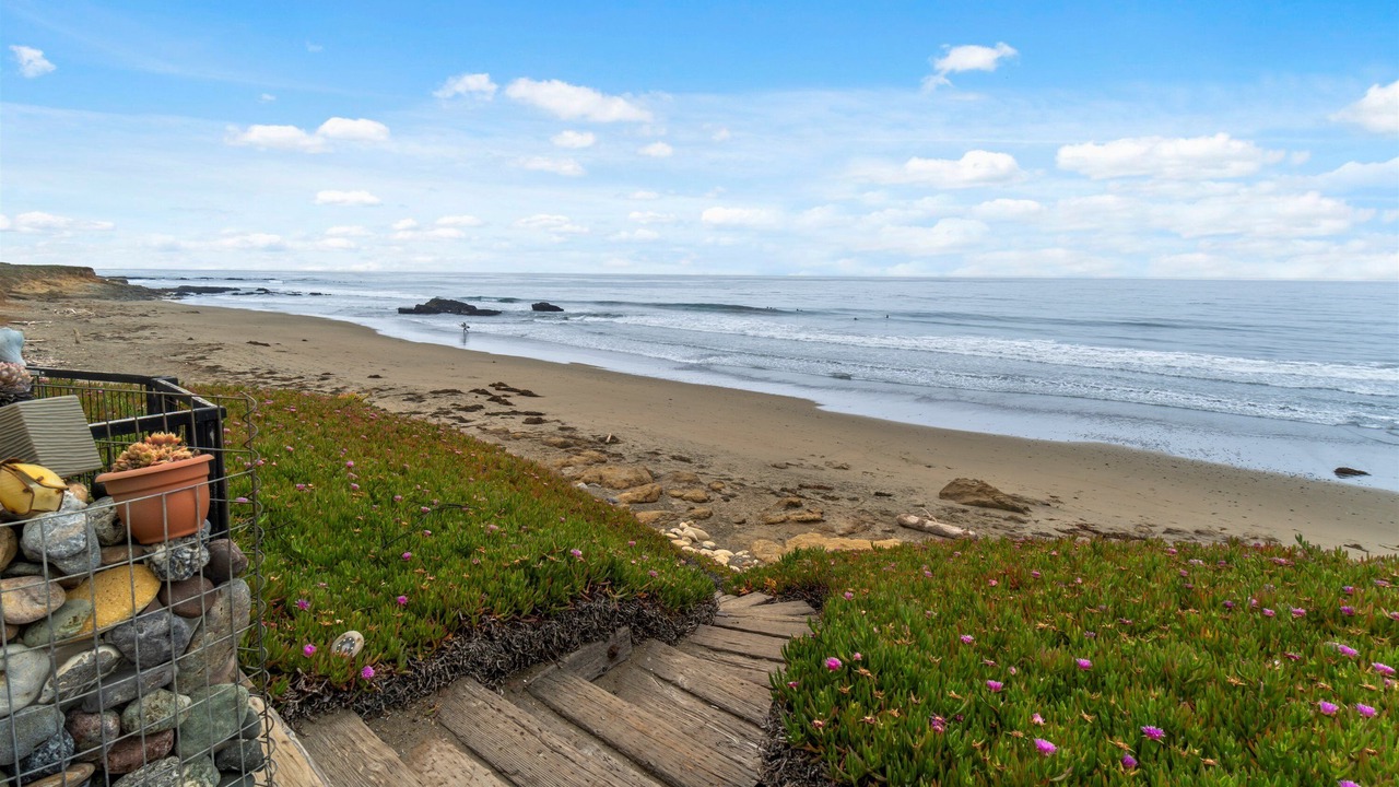 Photo of Others in San Simeon