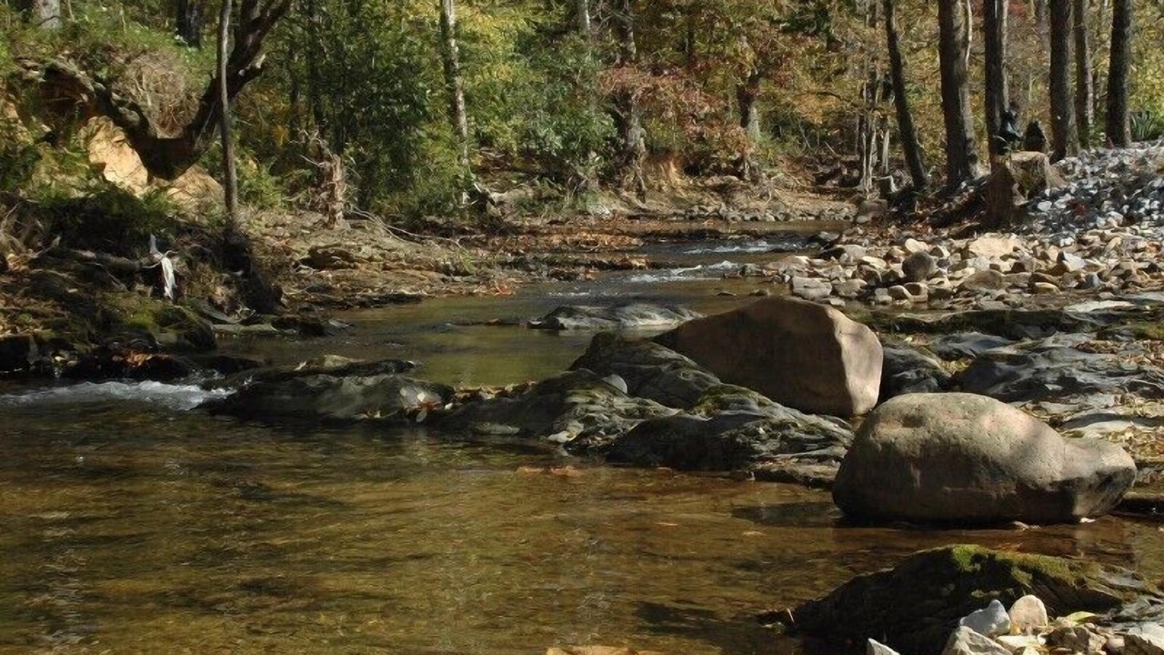 Photo of Others in Pigeon Forge