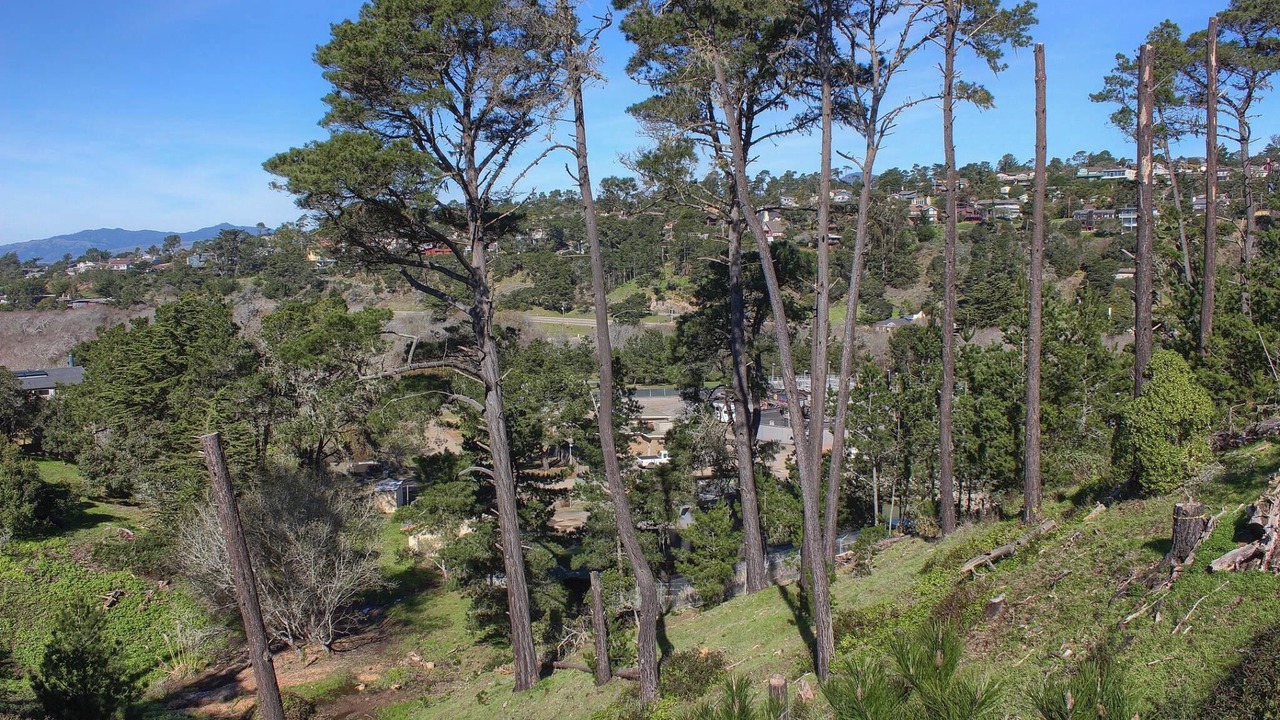 Photo of Others in Park Hill
