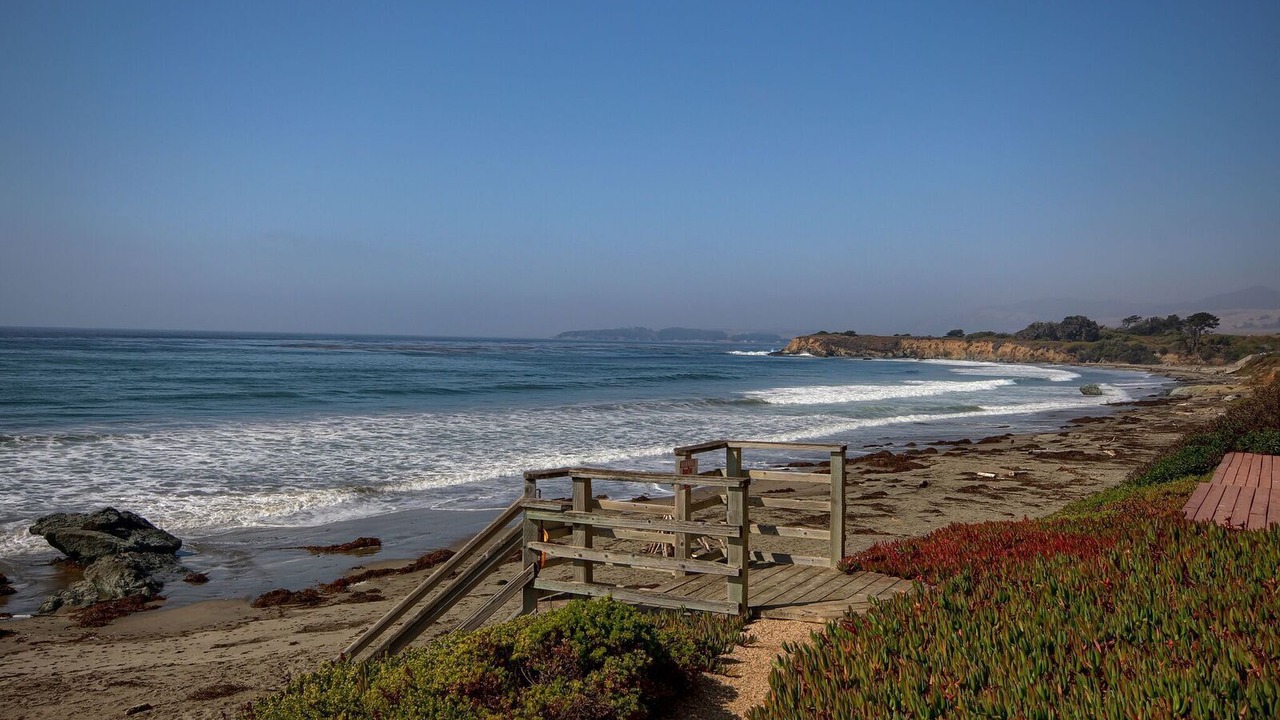 Photo of Others in San Simeon