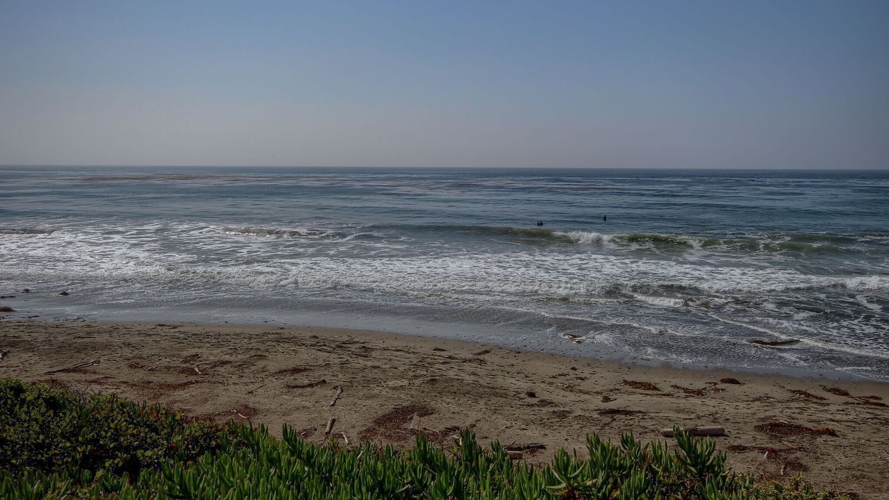 Photo of Others in San Simeon