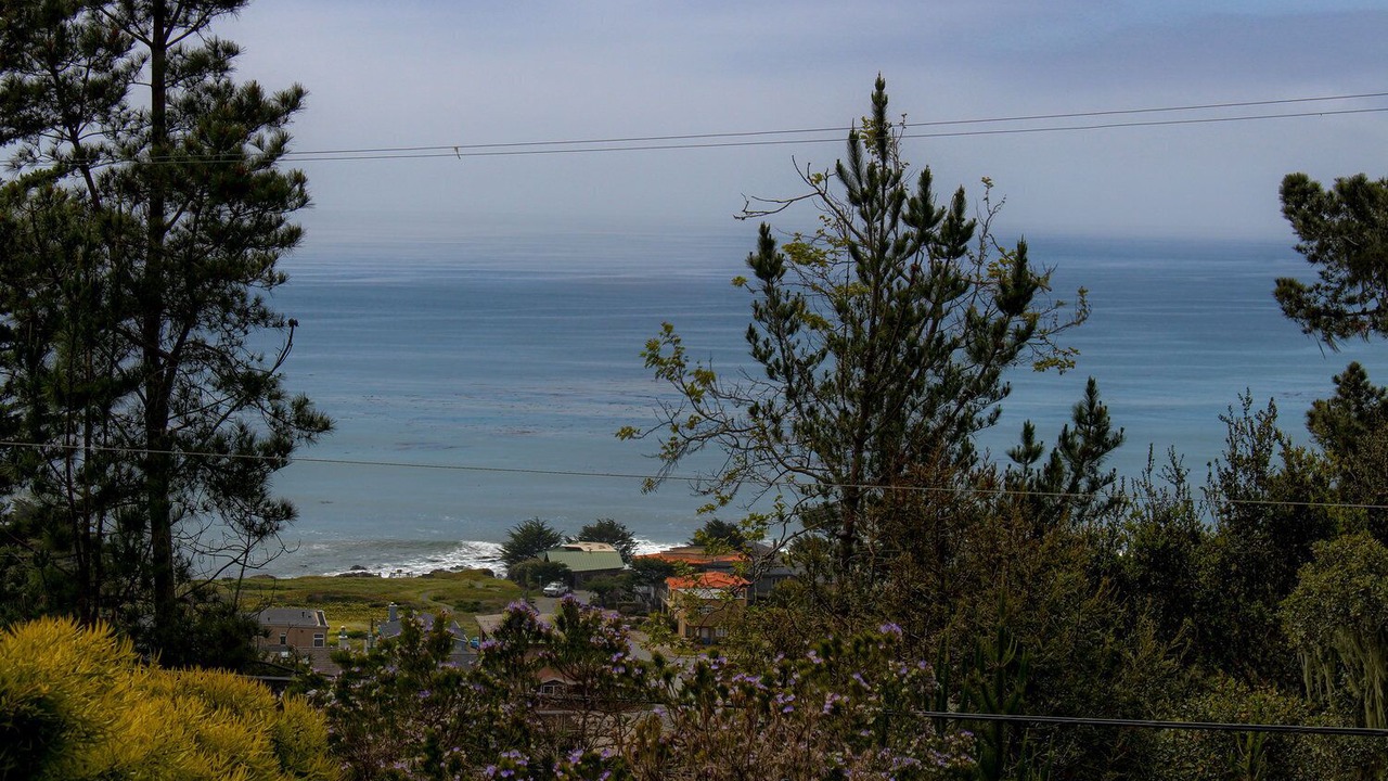 Photo of Others in Marine Terrace