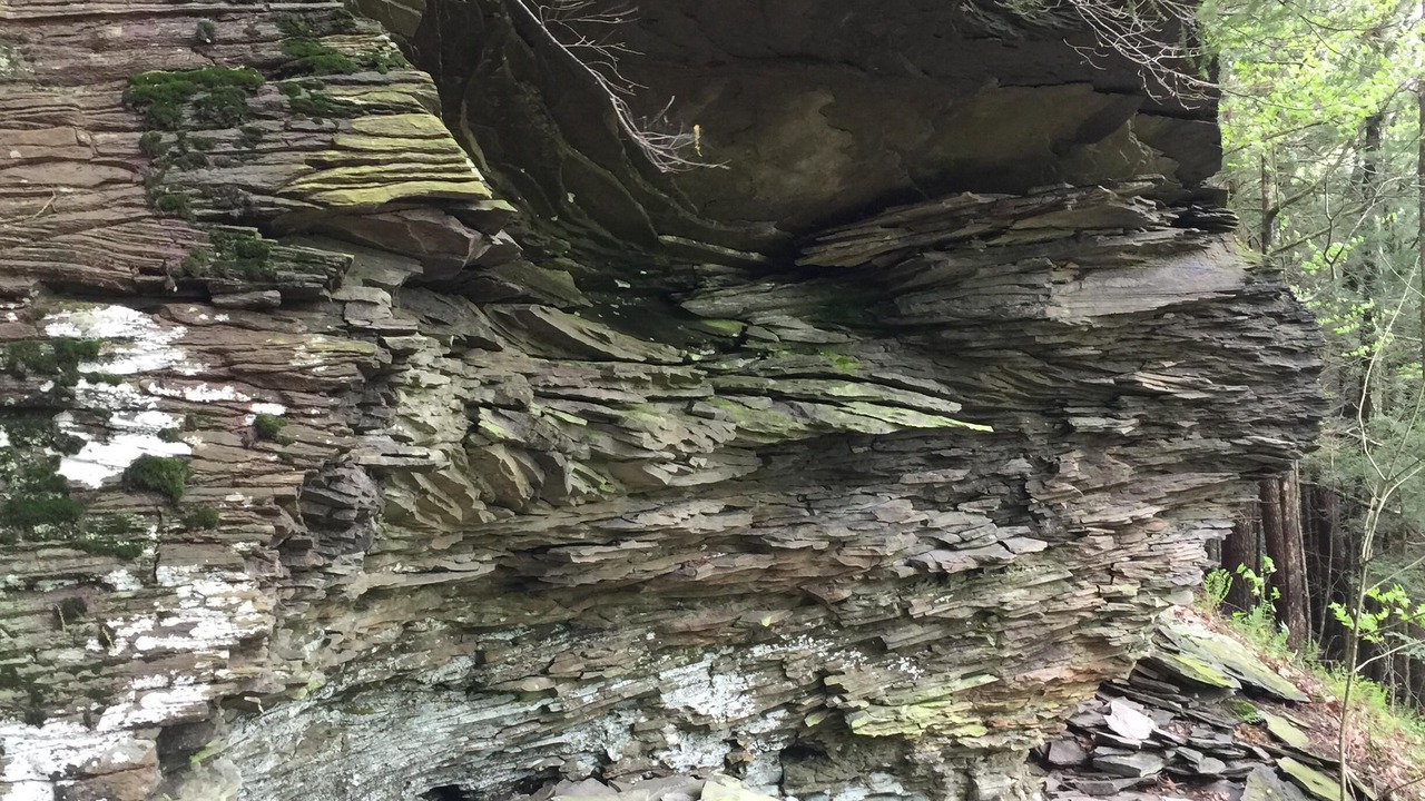 Photo of Outdoor in South New Berlin