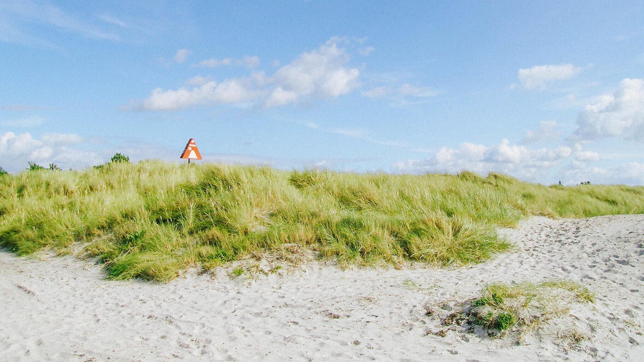 Photo of Others in Hojby