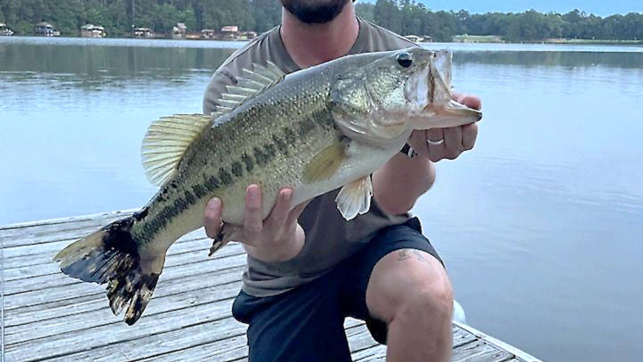Photo of Outdoor in Holly Lake Ranch