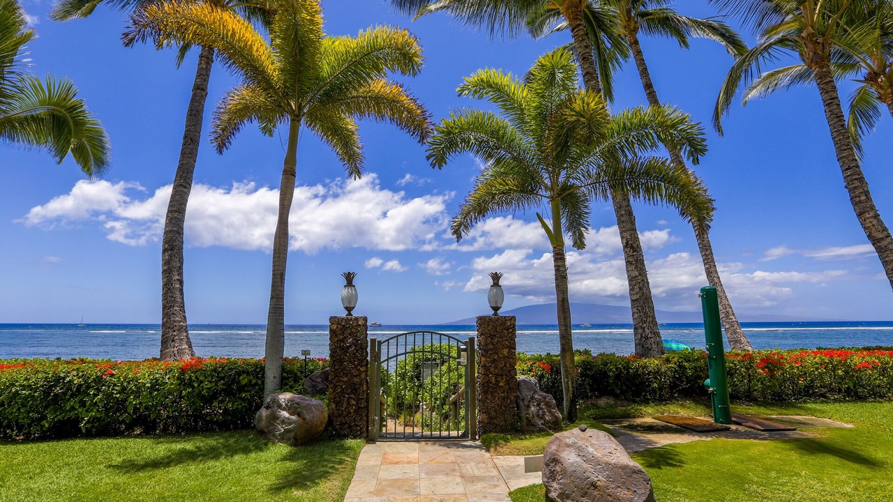 Photo of Outdoor in Historic Lahaina Front Street