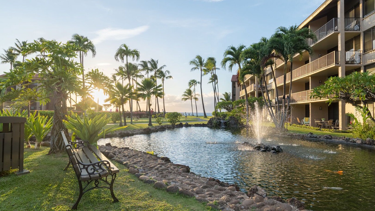 Photo of Others in Honokowai