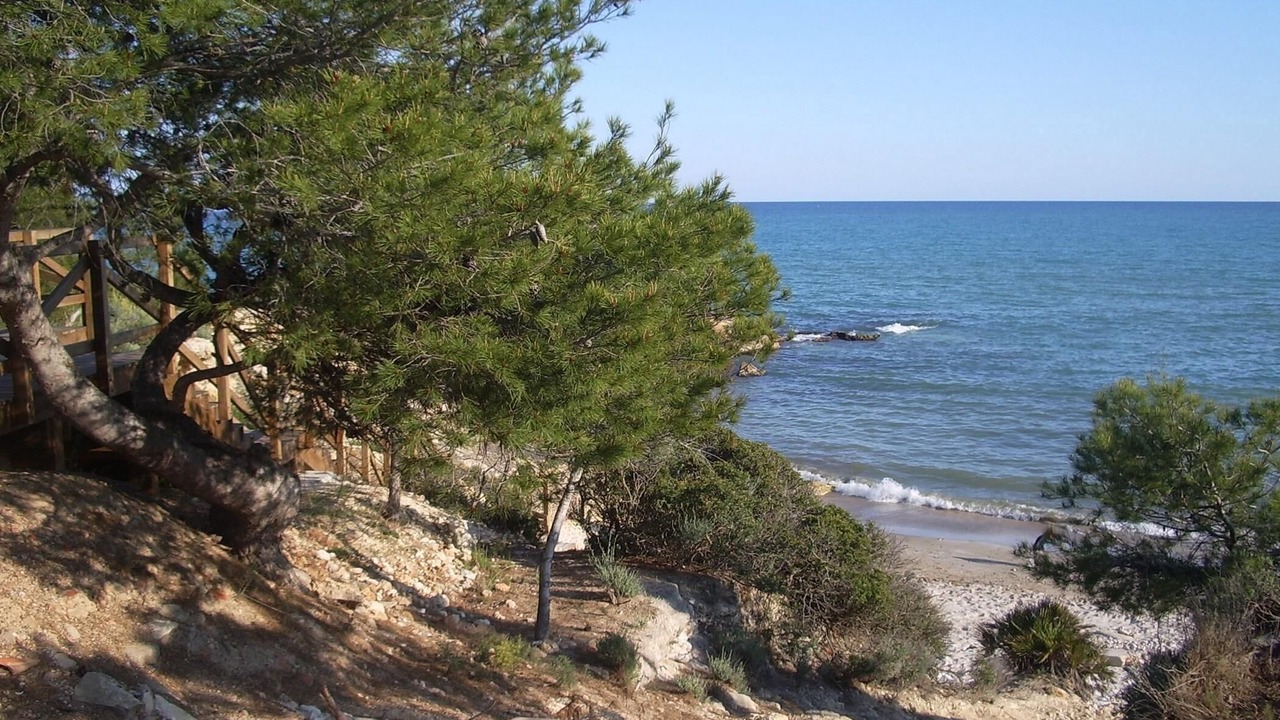 Photo of Others in Alcossebre