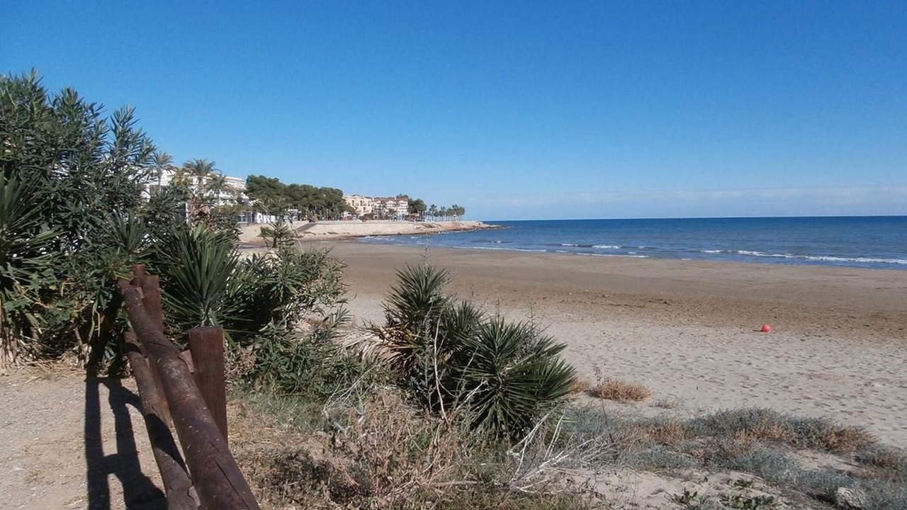 Photo of Others in Alcossebre