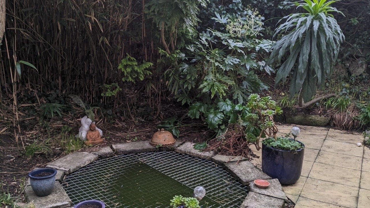 Photo of Outdoor in Carbis Bay