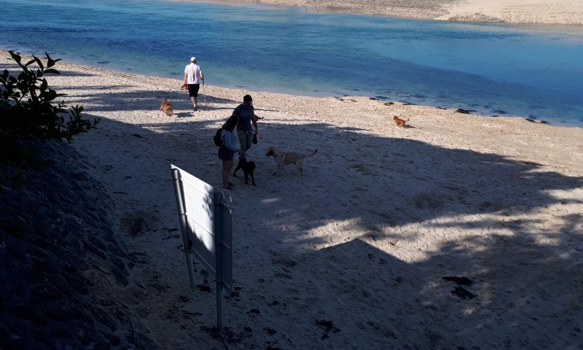 Photo of Others in Carbis Bay