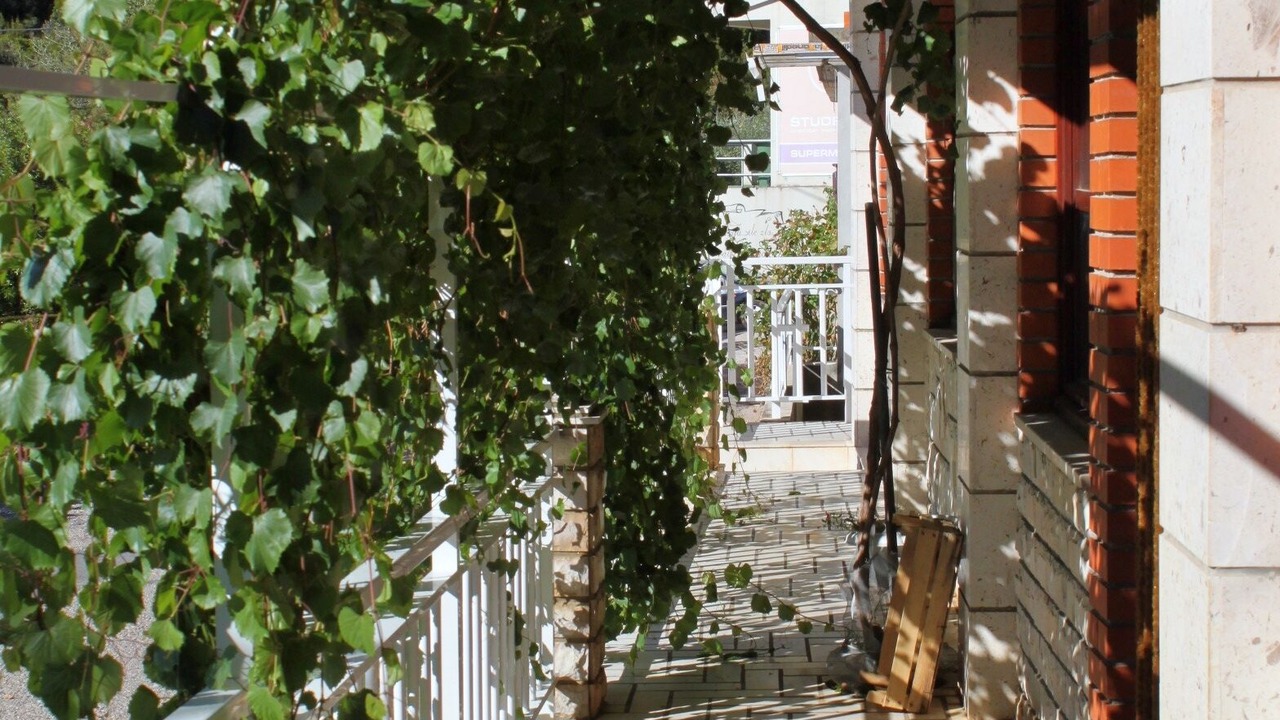 Photo of Outdoor in Brna