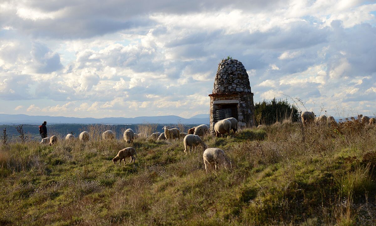 Photo of Others in Baudinard-sur-Verdon