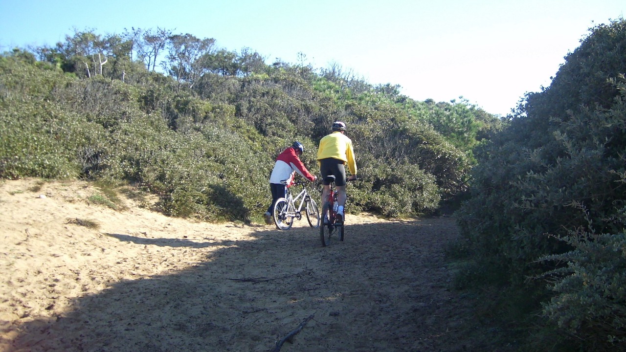 Photo of Others in Saint-Vincent-sur-Jard