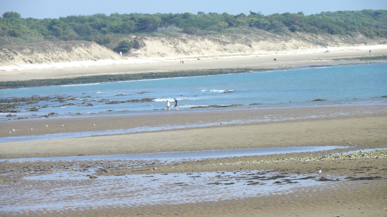 Photo of Others in Saint-Vincent-sur-Jard
