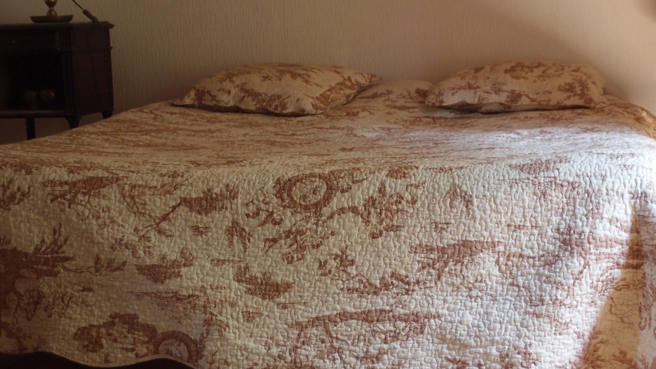 Photo of Bedroom in Seix