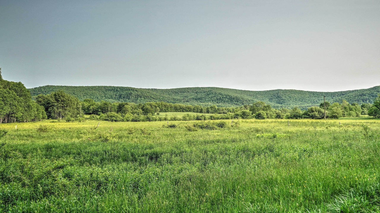 Photo of Outdoor in Great Valley