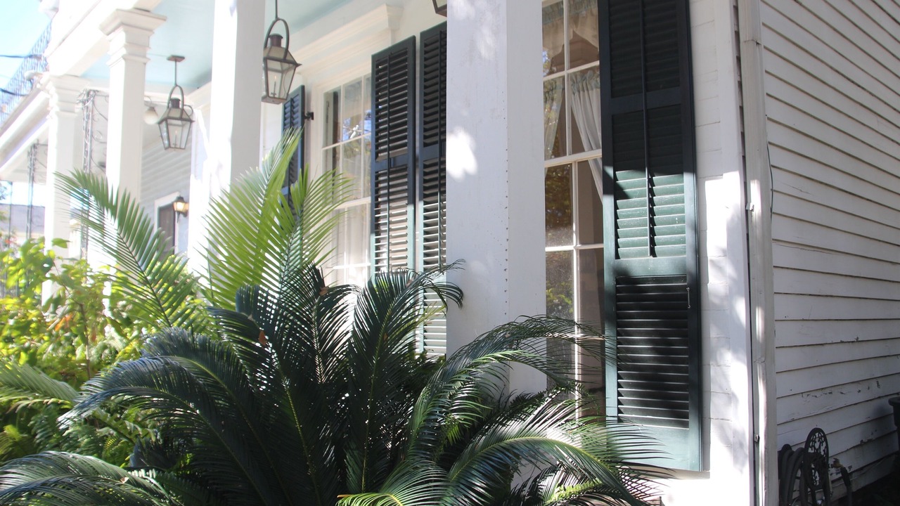 Photo of Outdoor in Faubourg Livaudais