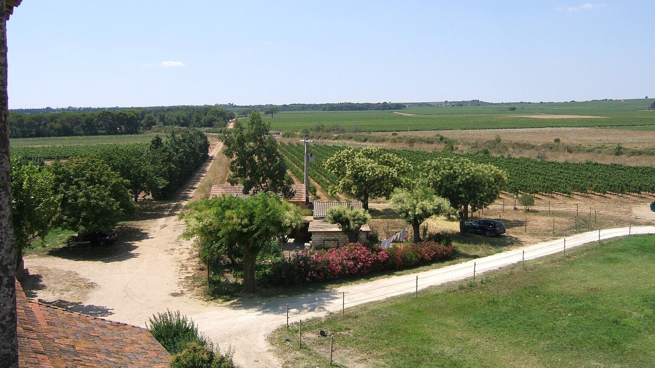 Photo of Outdoor in Saint-Gilles