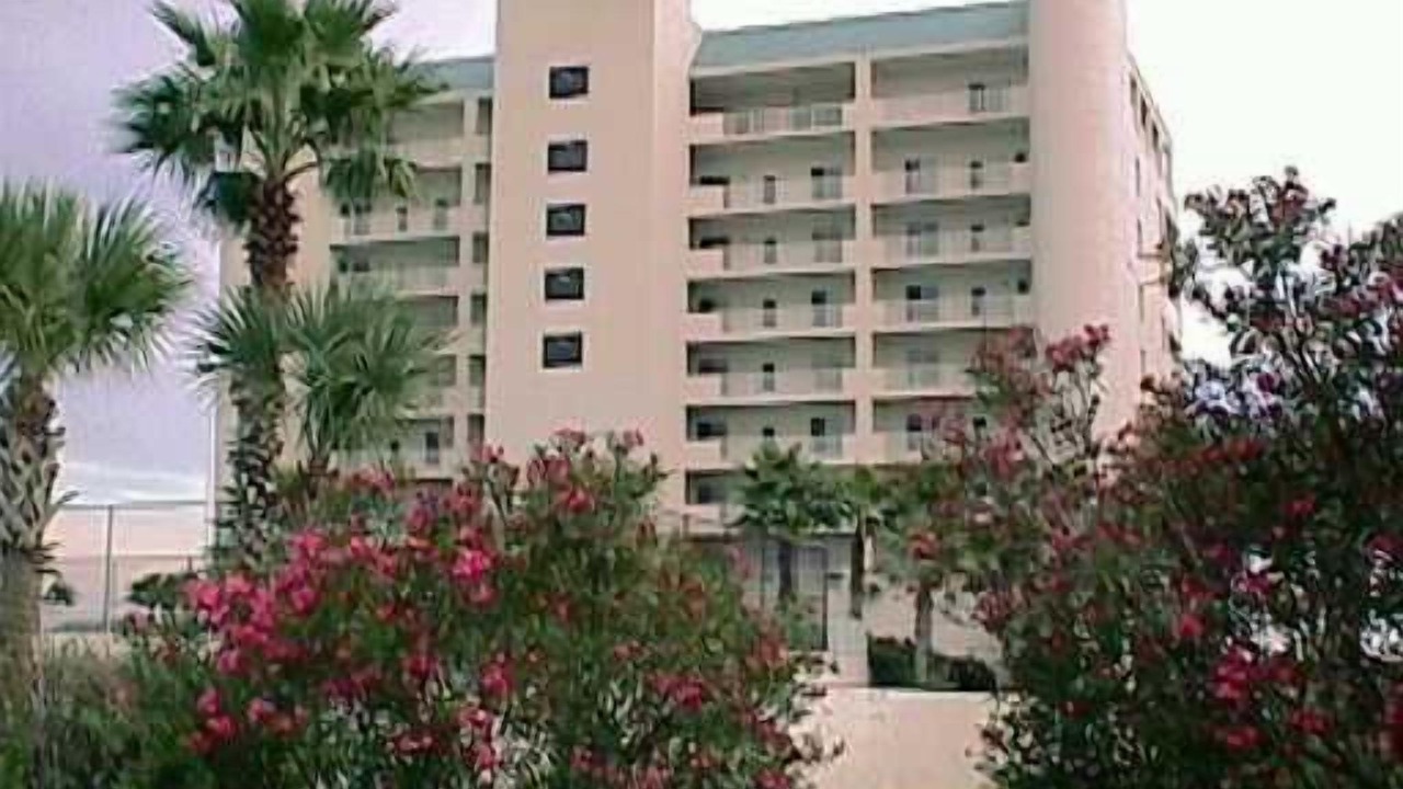 Photo of Others in New Smyrna Beach