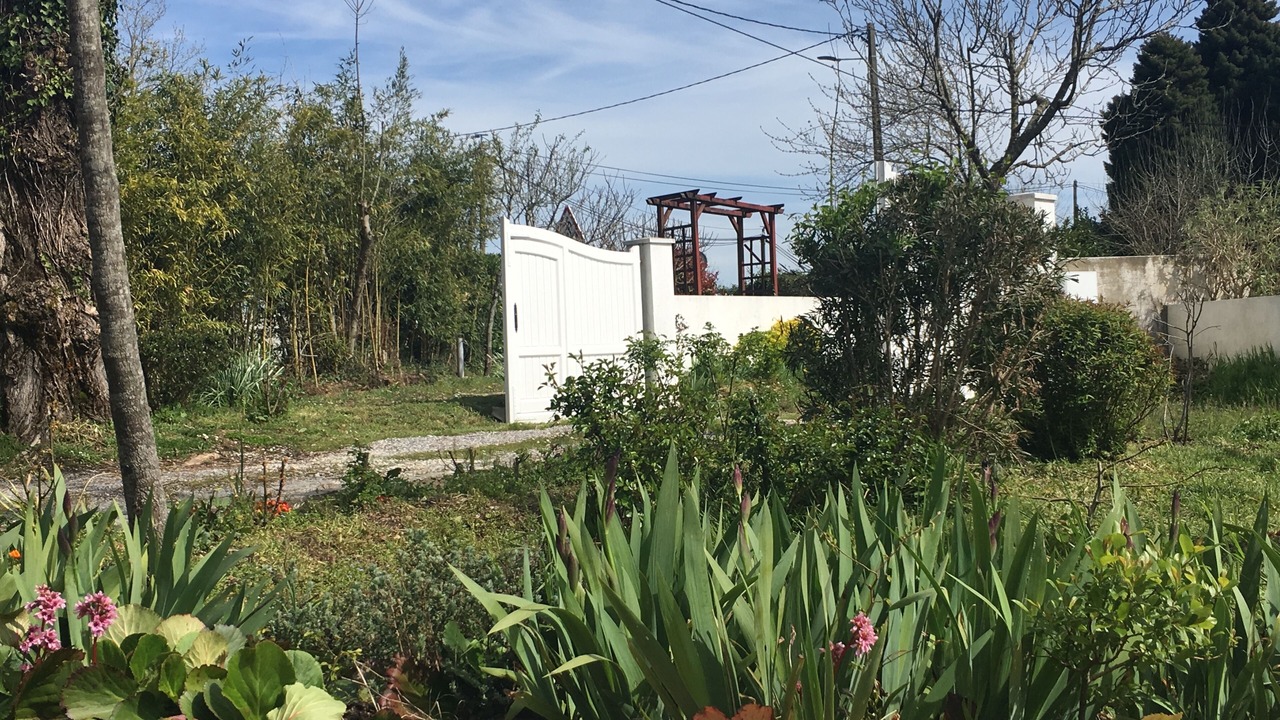 Photo of Outdoor in Saint-Pierre-d'Irube