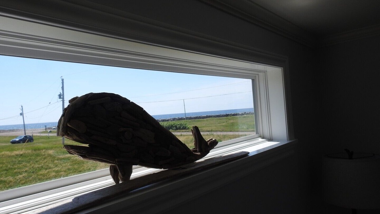 Photo of Others in Cheticamp