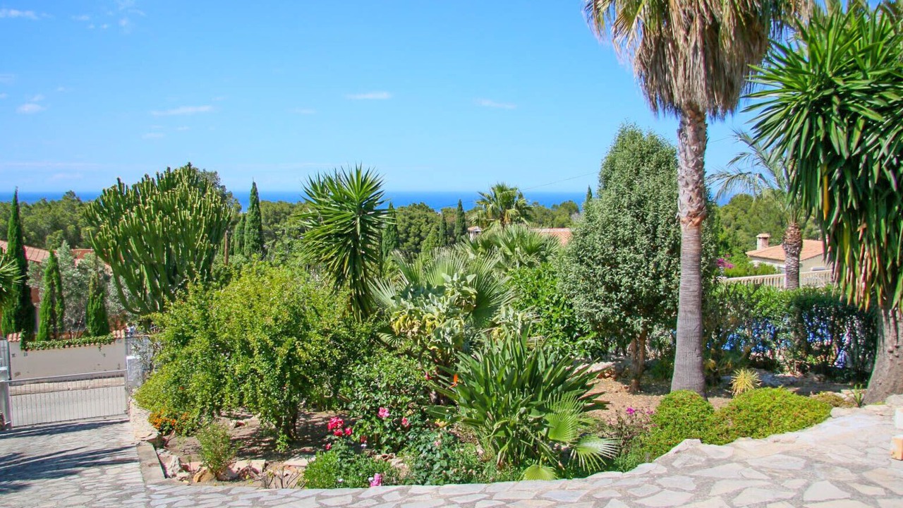 Photo of Outdoor in Denia