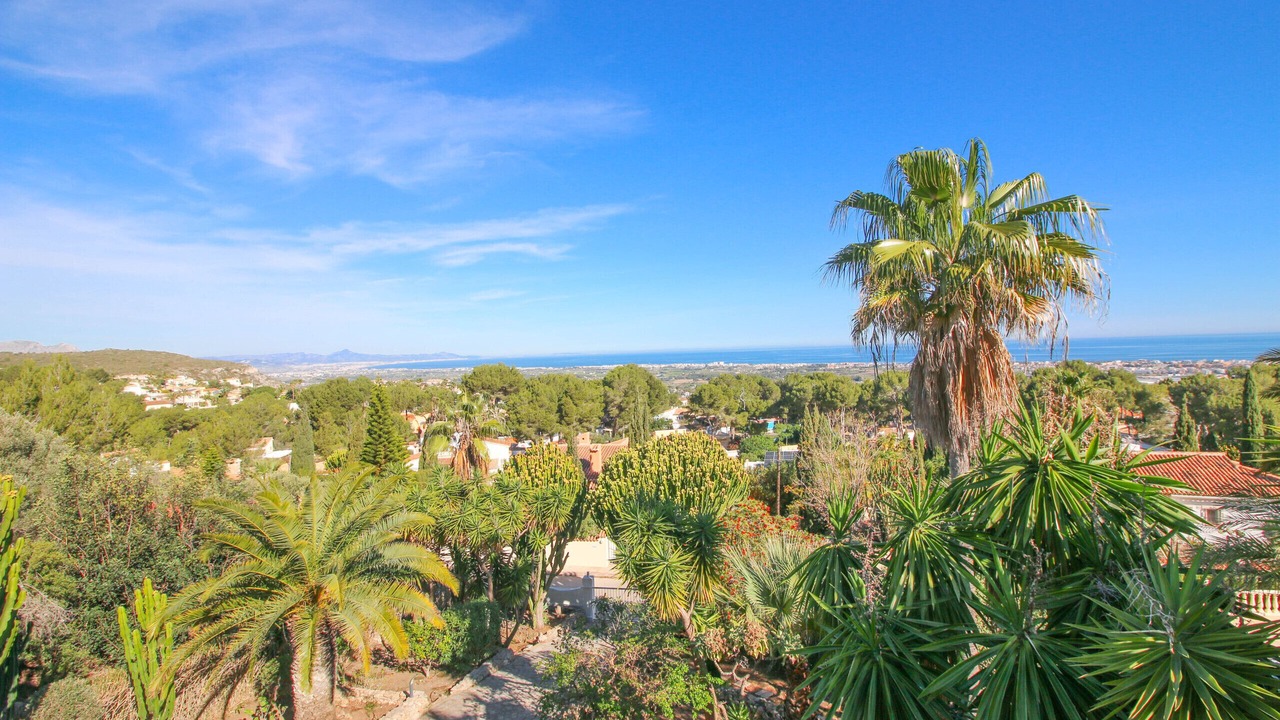 Photo of Others in Denia