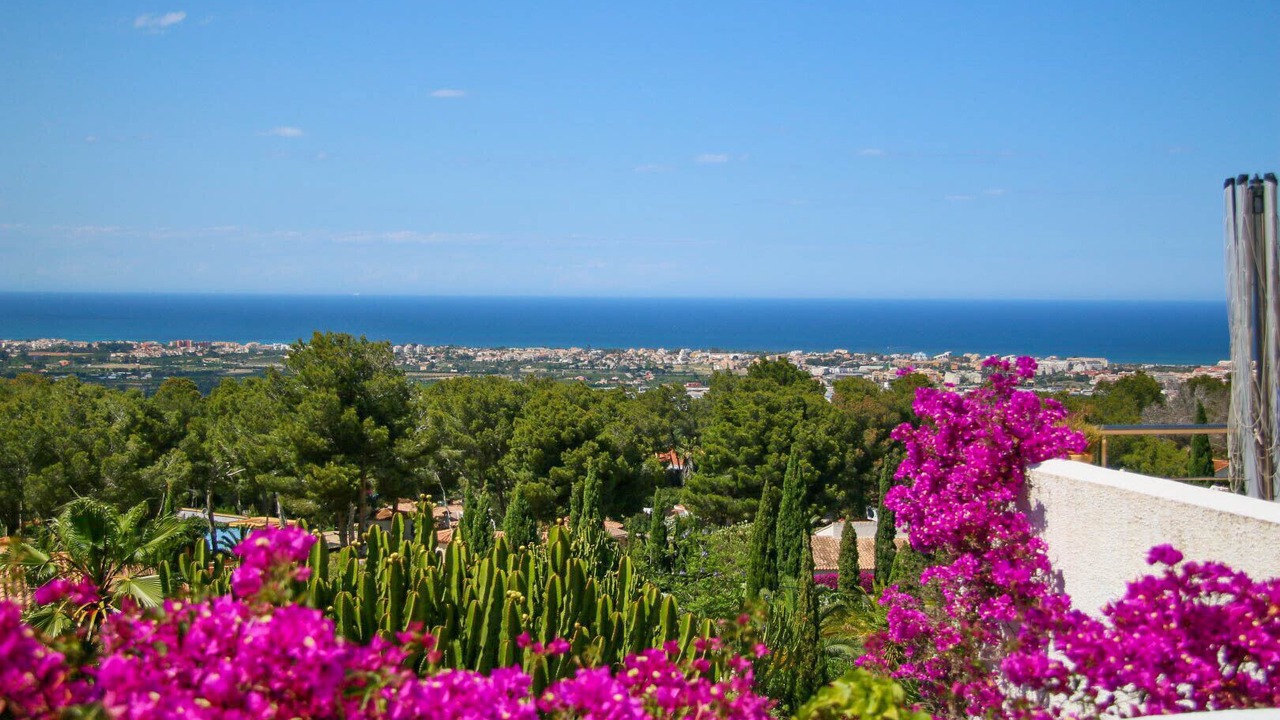 Photo of Others in Denia