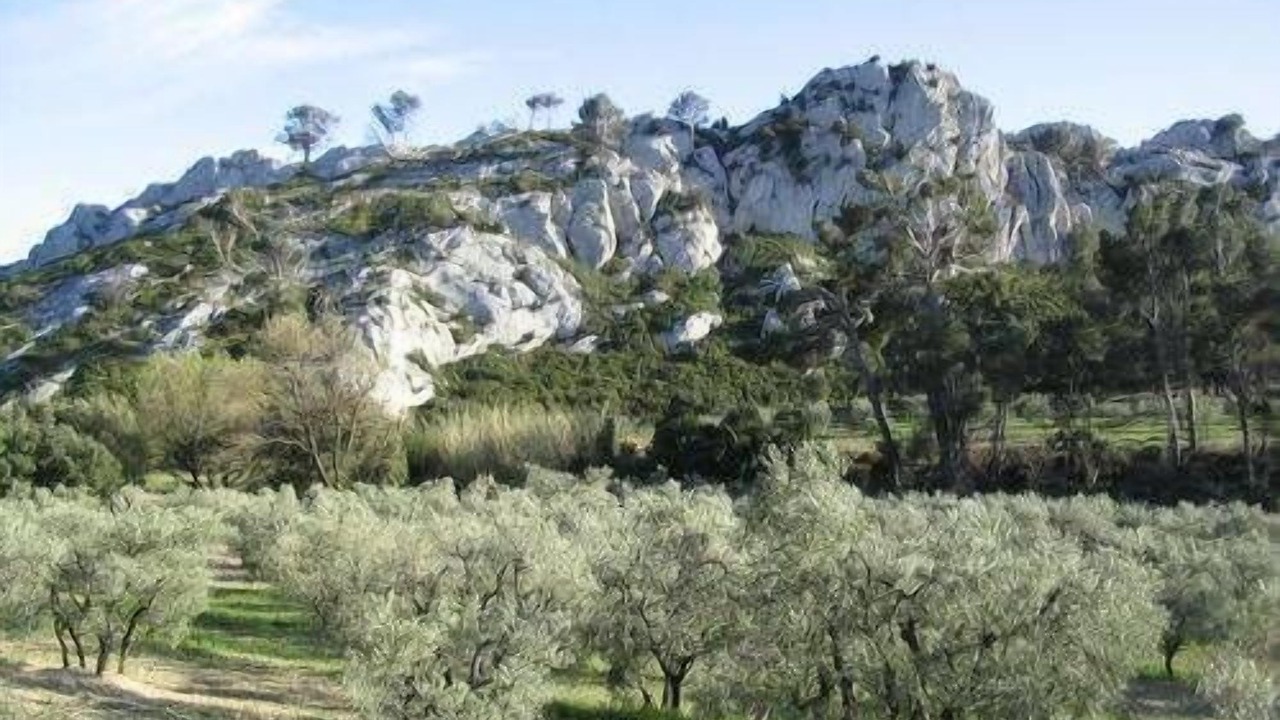 Photo of Outdoor in Saint-Etienne-du-Gres