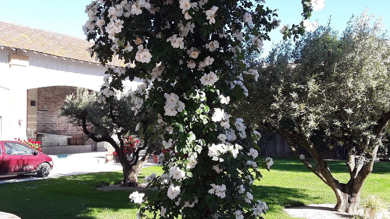 Photo of Outdoor in Saint-Etienne-du-Gres