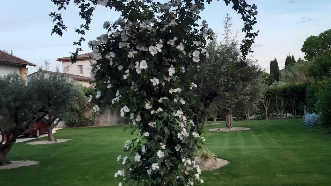 Photo of Outdoor in Saint-Etienne-du-Gres