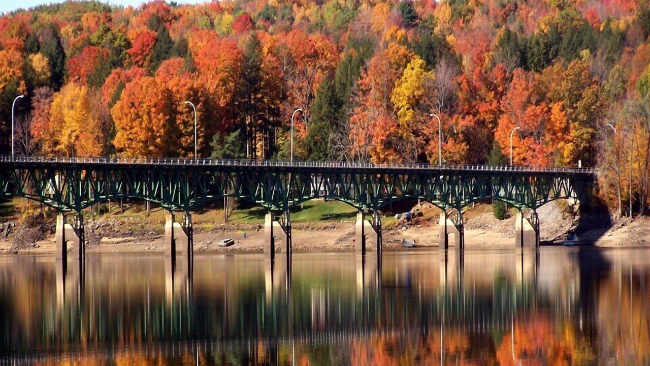 Photo of Others in Gloversville