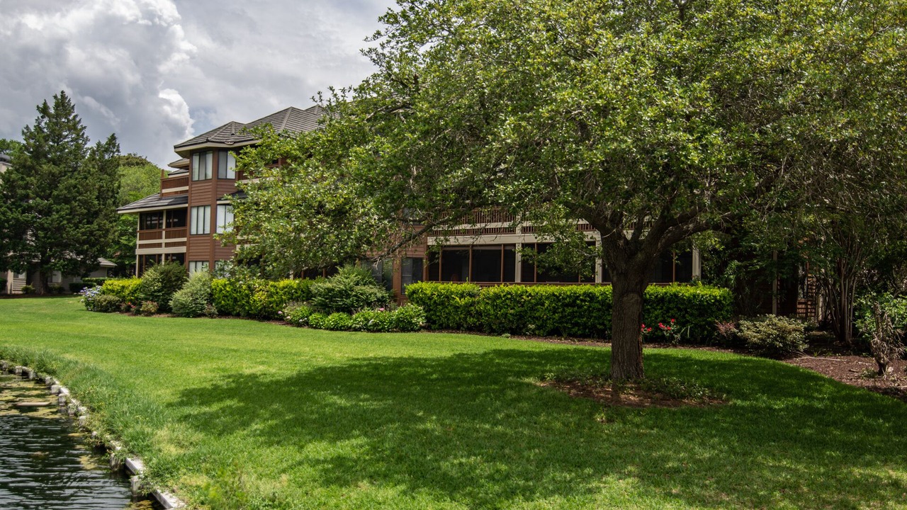 Photo of Outdoor in Arcadian Shores