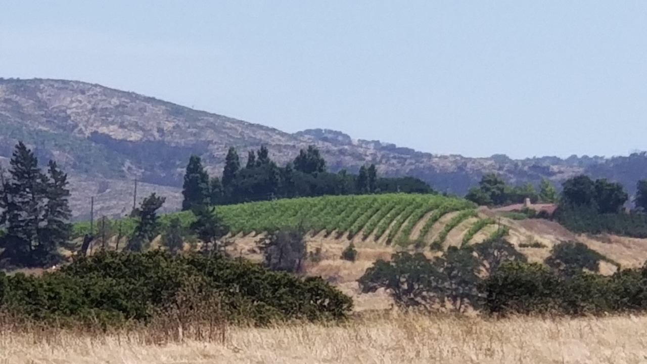 Photo of Outdoor in Coombsville