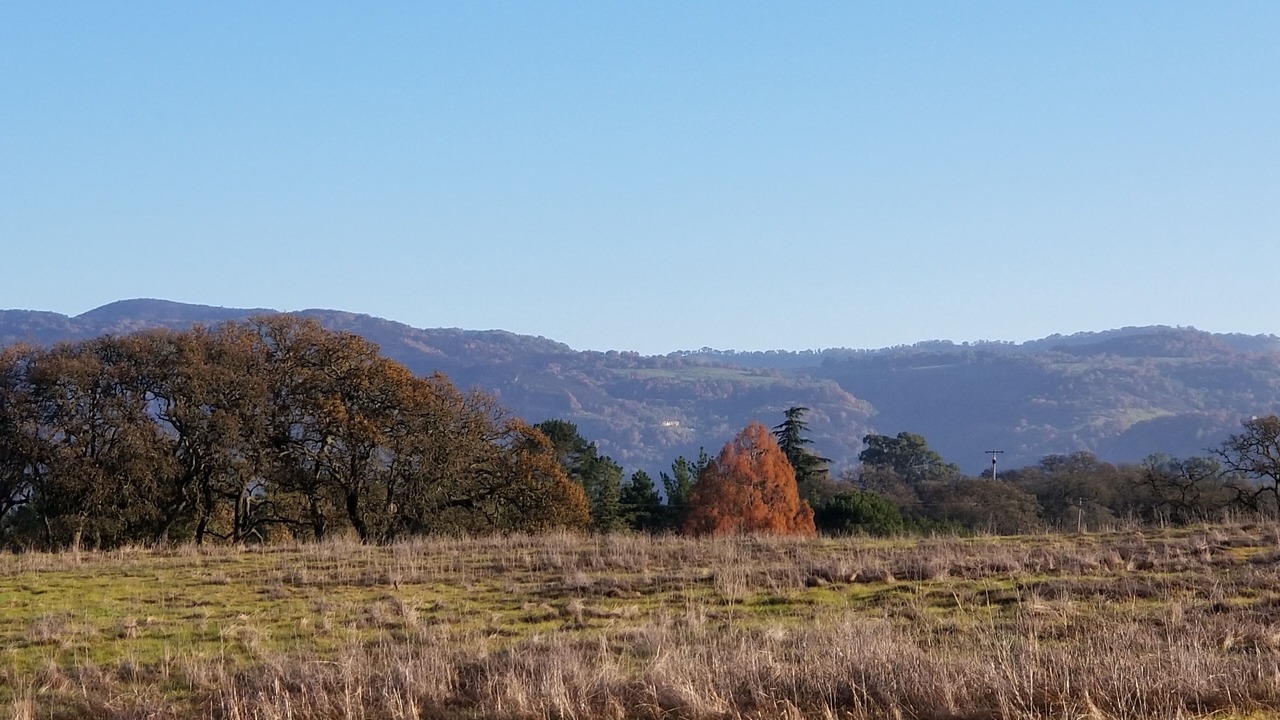 Photo of Others in Coombsville