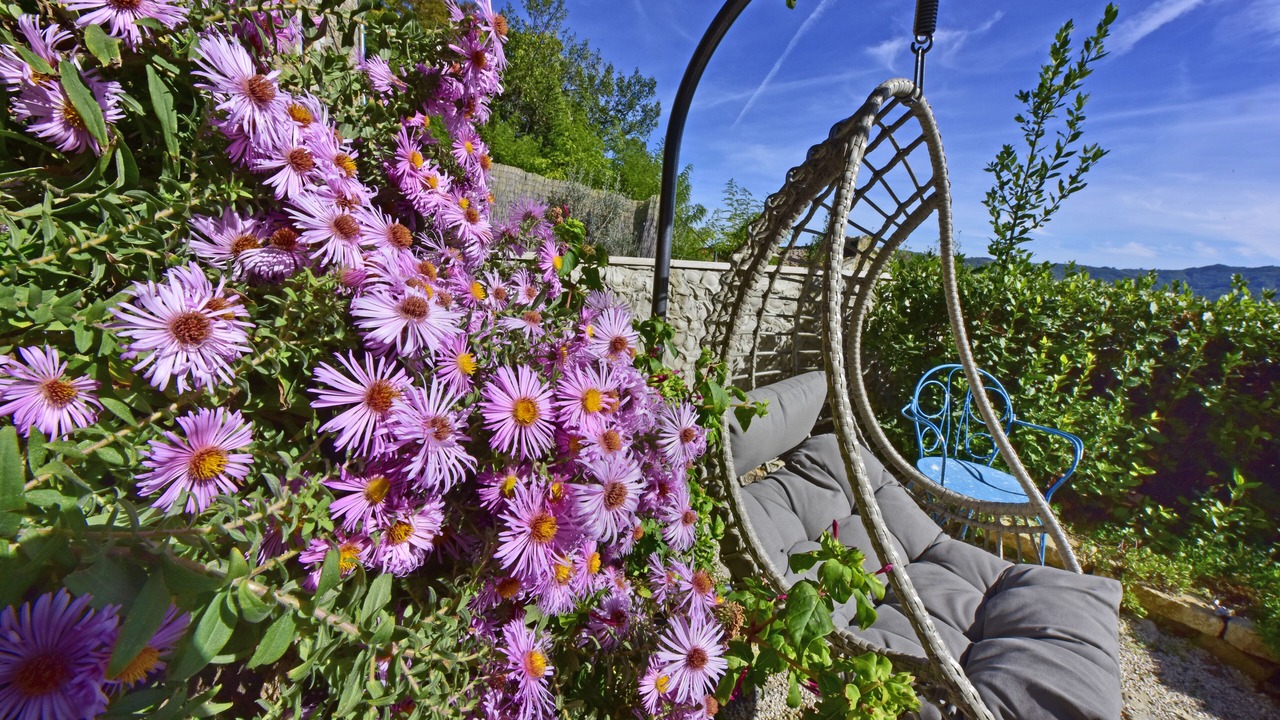 Photo of Outdoor in Motovun