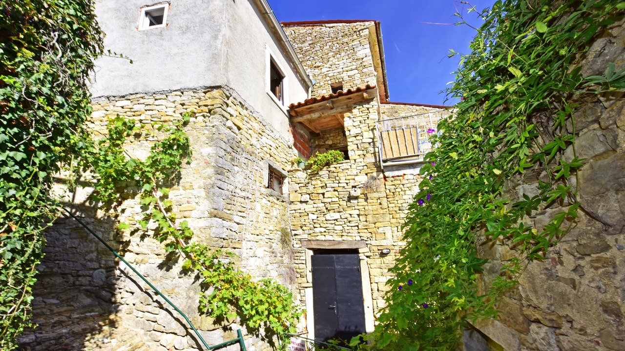 Photo of Outdoor in Motovun