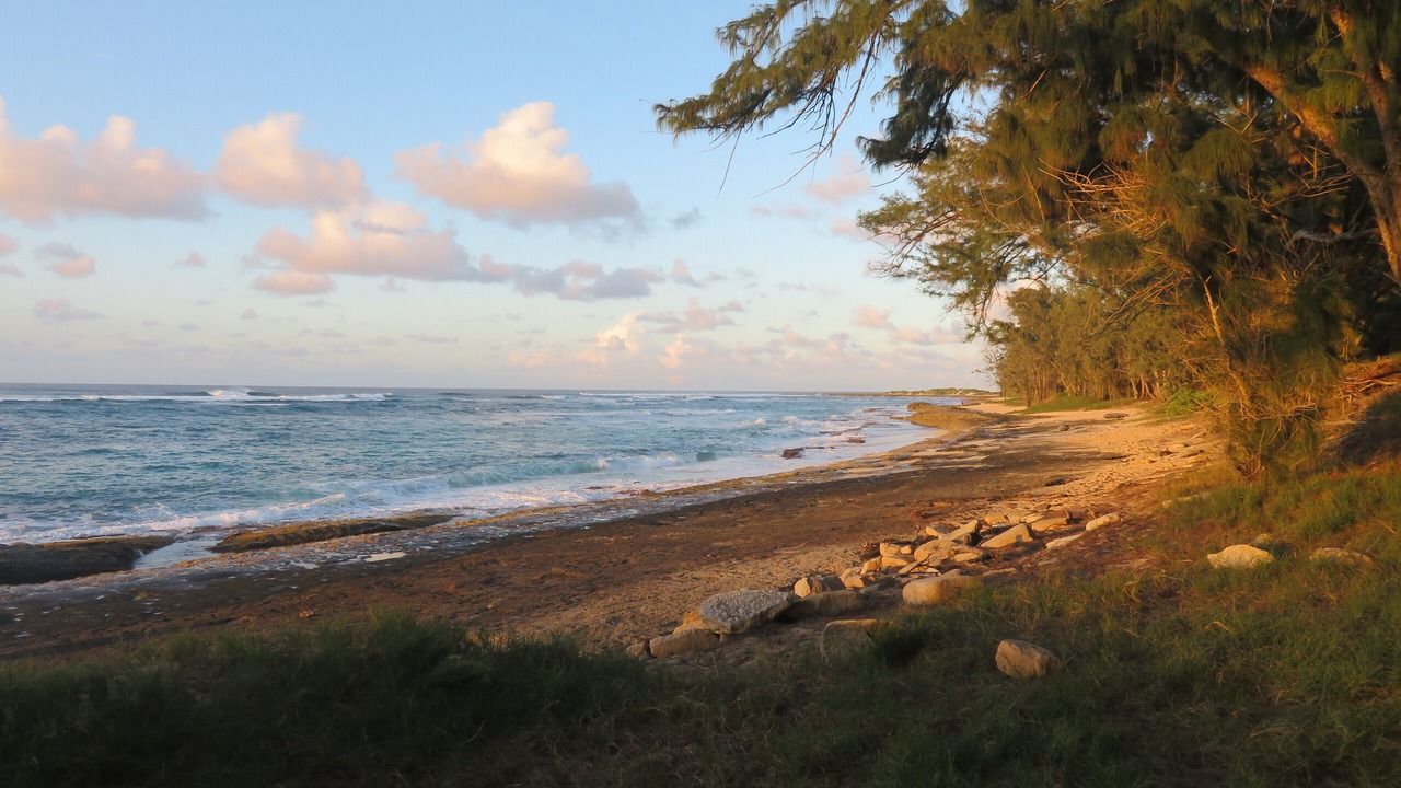 Photo of Others in Kahuku