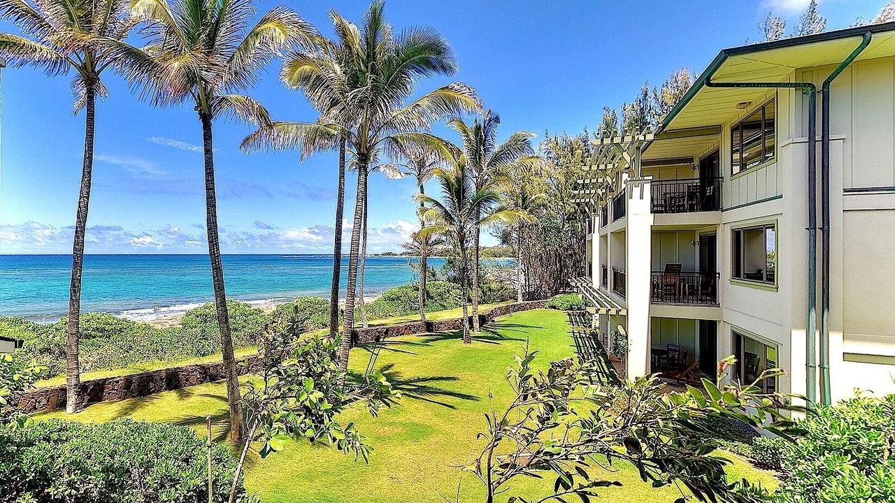 Photo of Others in Kahuku