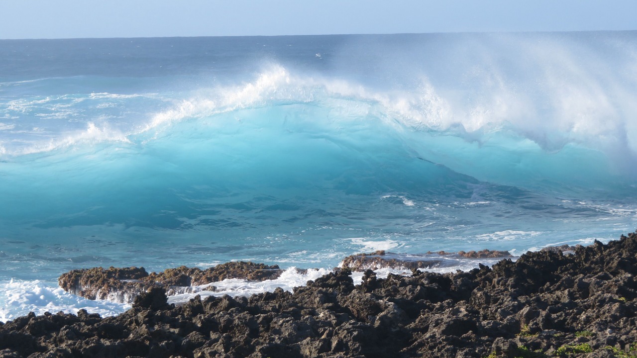 Photo of Others in Kahuku