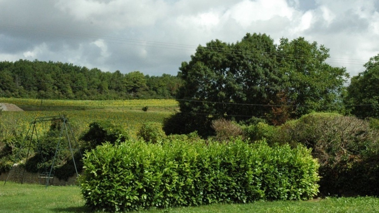 Photo of Others in Chemille-sur-Indrois