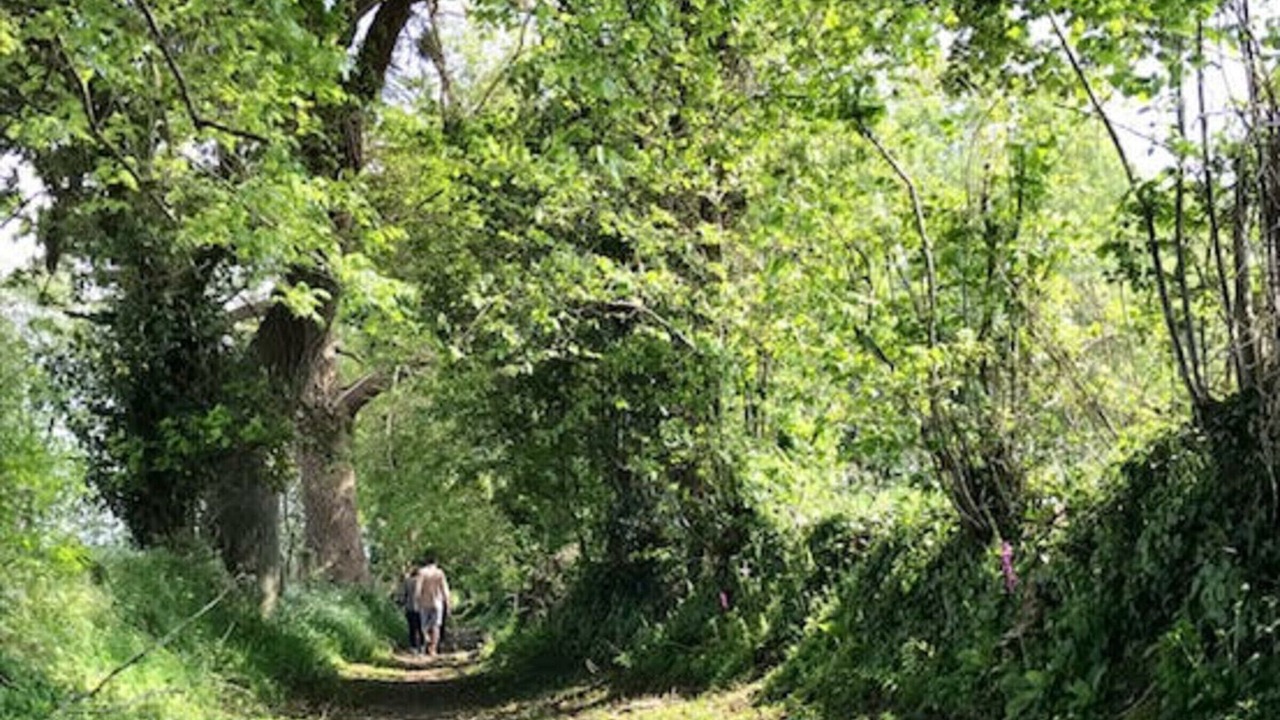 Photo of Outdoor in Saint-Sauveur-la-Pommeraye