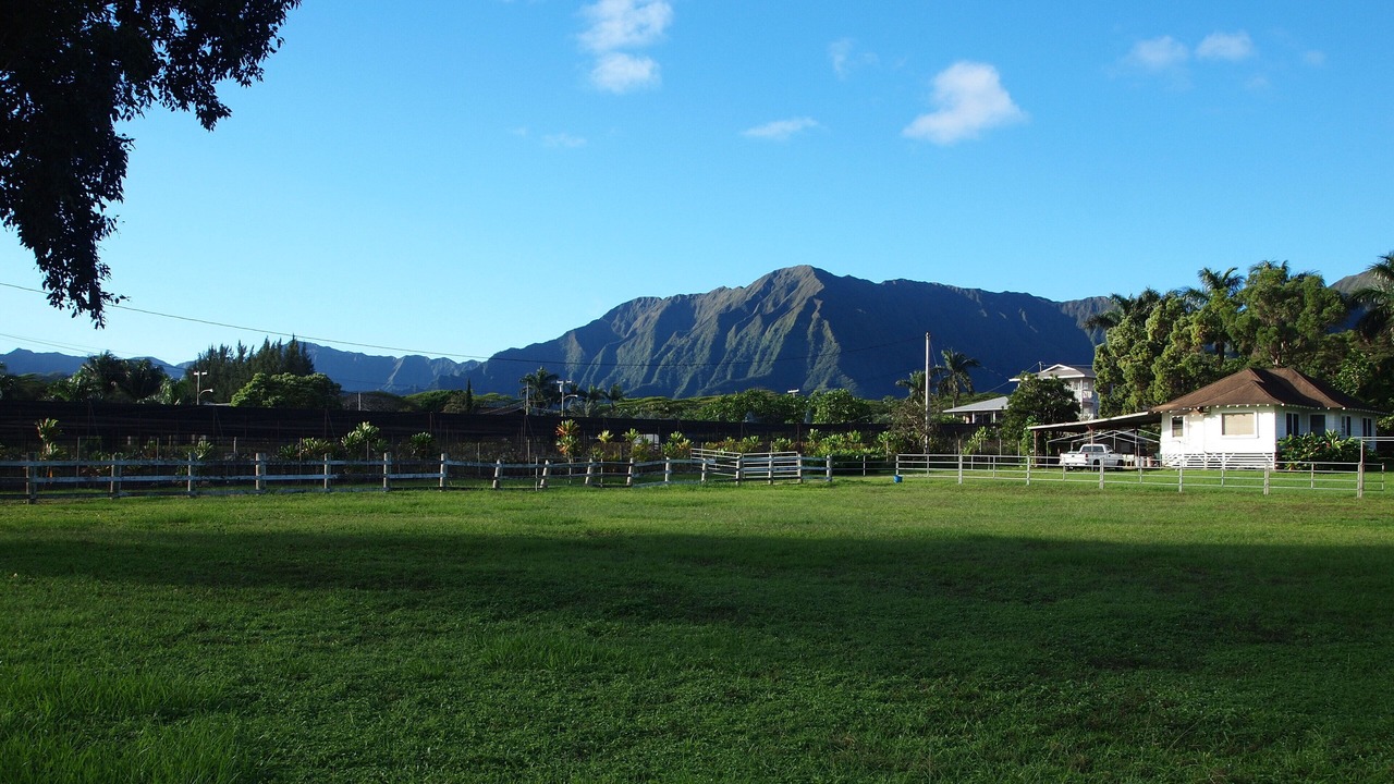 Photo of Others in Waikane